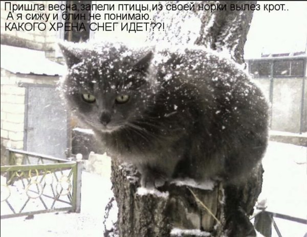 Зиму перезимовали и весну Перезимуем