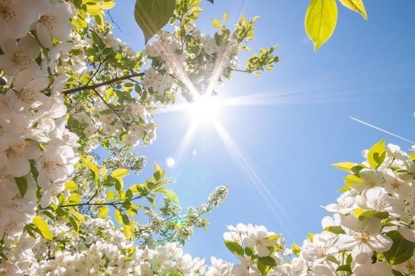 Весеннее солнце