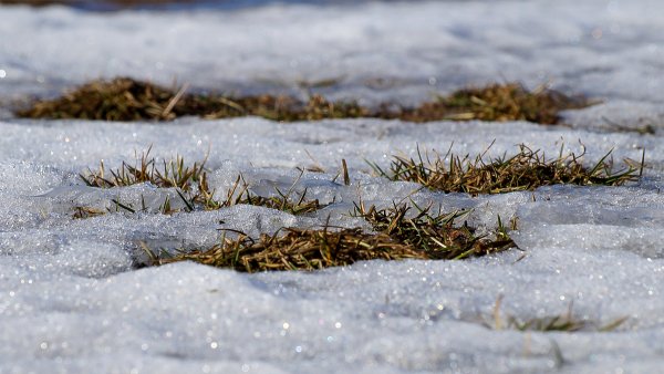Весна на пороге картинки