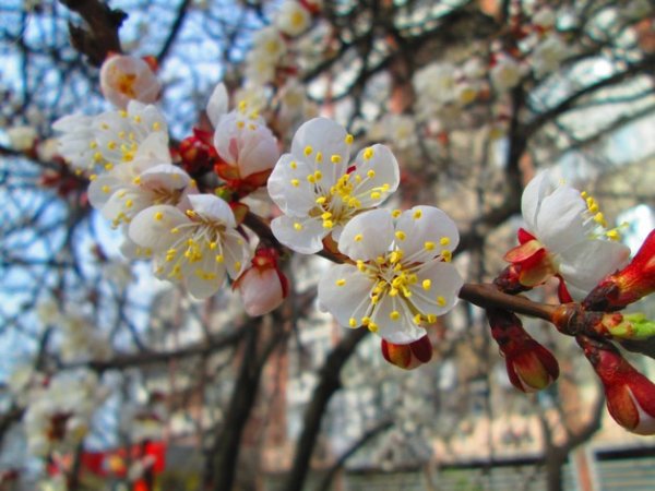 Весна на пороге Весна картинки