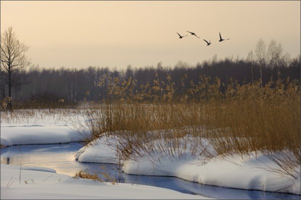 Весна на пороге