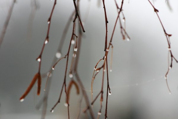 Весна на пороге картинки