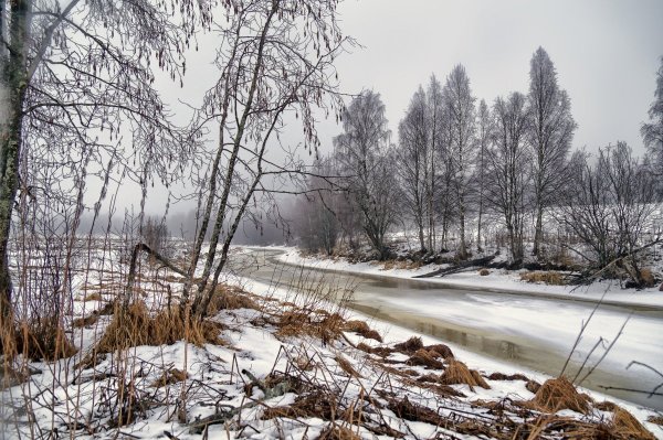 Весне дорогу!