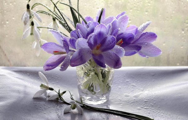 Открытки Весна идет