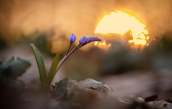 Весны в душе и счастья