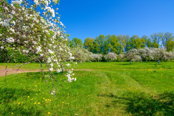 Беларусь весной