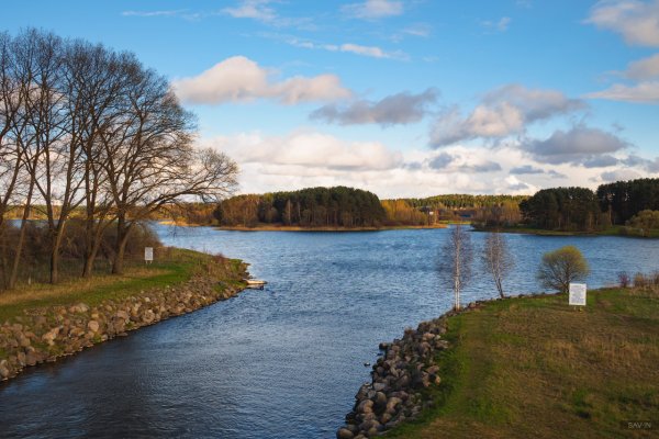 Весна в лесу Беларусь