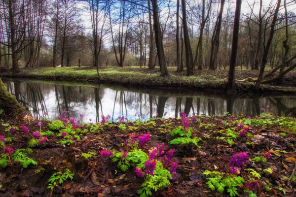 Весна в Беларуси