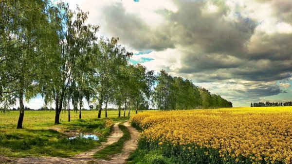Гродно город в Белоруссии