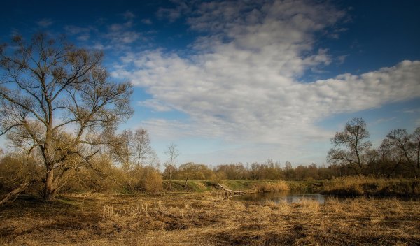 Минск Весна