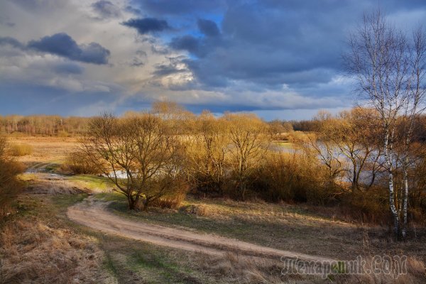 Лесная Поляна ранней весной