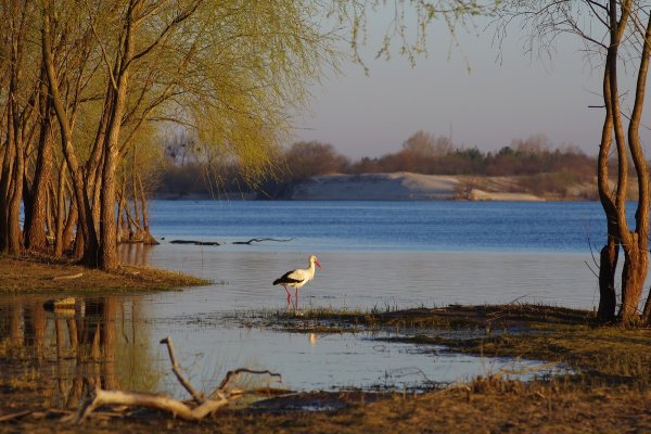 Весенние поля России