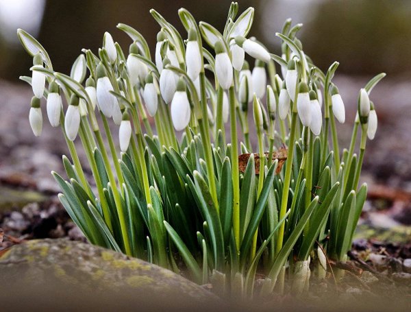 Беларусь в апреле