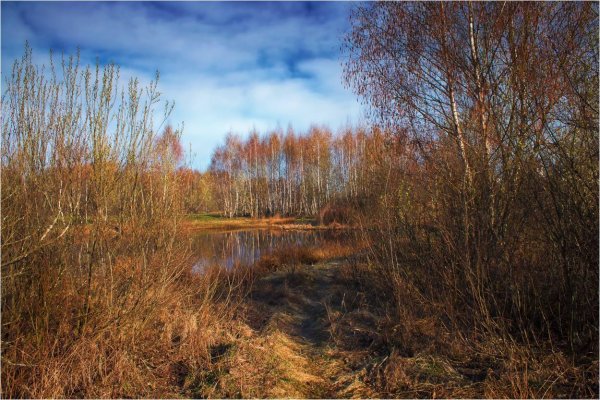 Природа весной в Белоруссии