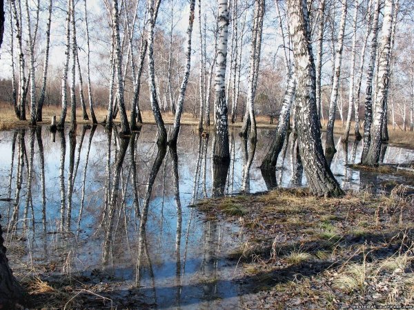 Река Волга зимой