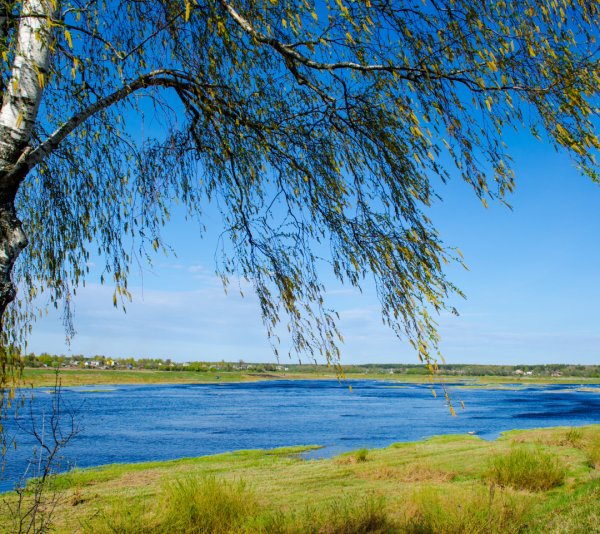 Ранняя Весна