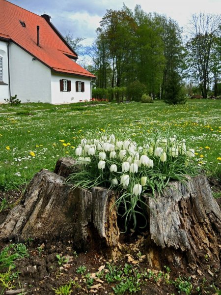 Красивый русский пейзаж фото Весна