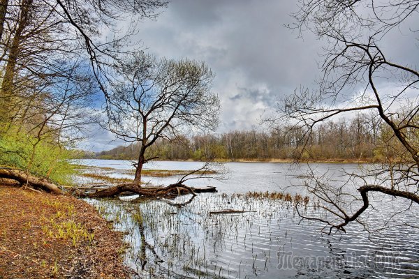 Гуканье весны в Белоруссии