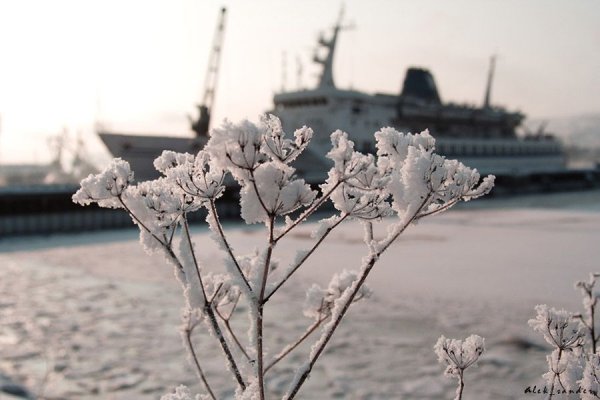 Мурманск Весна