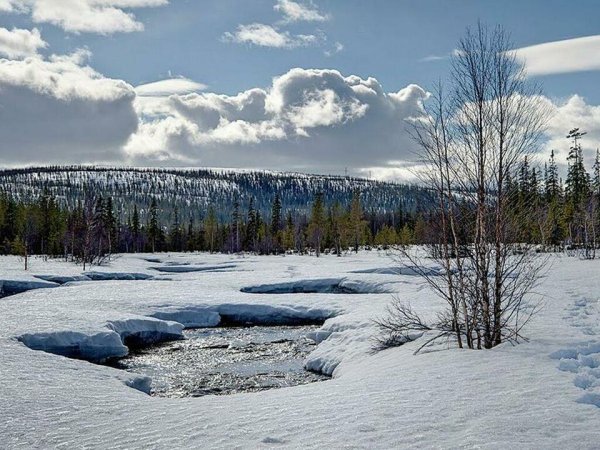 Весна в Мурманской области