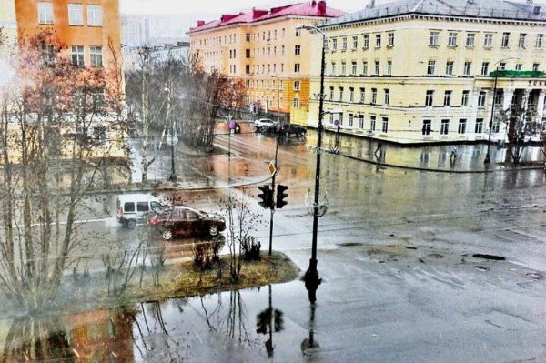 Растительный мир Кольского полуострова