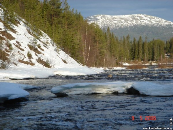 Клумбы Мурманска
