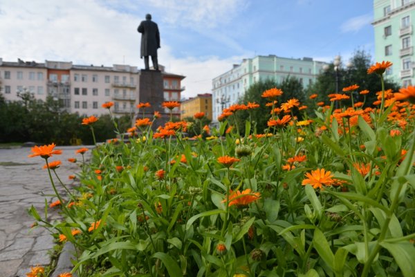 Россия Мурманск грязь