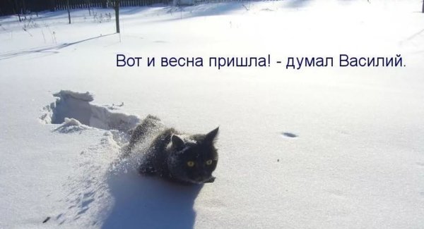 Шутки про зимнюю весну