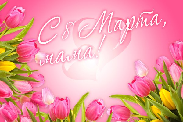 Мимоза открытка