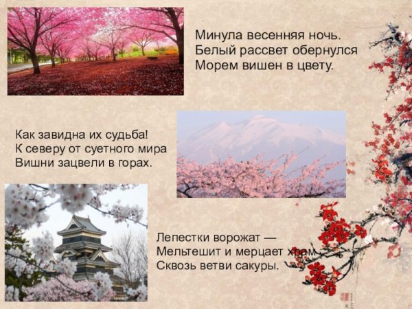 Японская поэзия хокку про сакуру