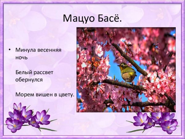 Хайку Мацуо басё