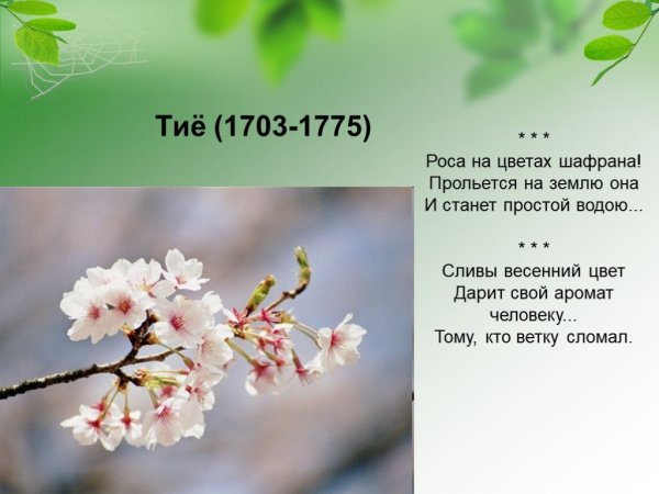 Хокку про цветы БАСЕ