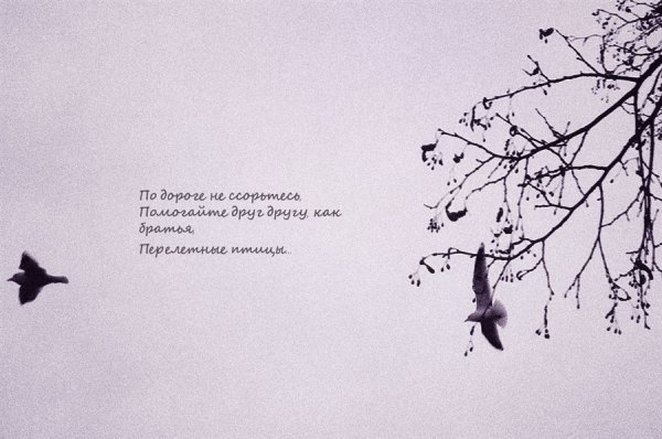 Иллюстрация к хокку