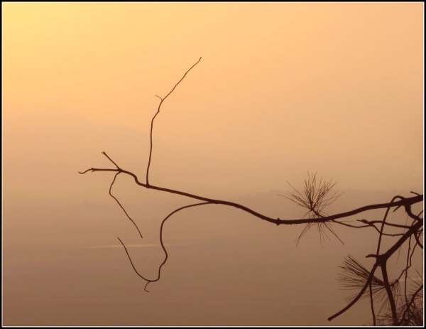 Иллюстрации к хокку басё