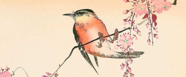 Басё хокку Соловей