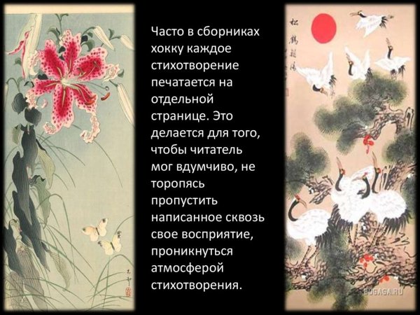 Трехстишия японской поэзии хокку