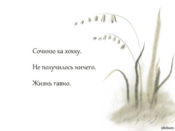 Японские трехстишия хокку или хайку