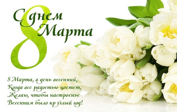 Красивые тюльпаны