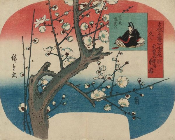 Хиросигэ Цветущая слива