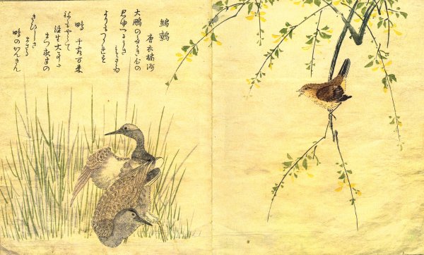 Японская живопись хокку