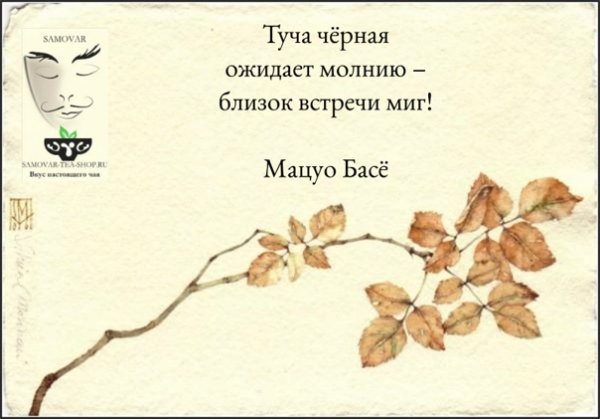 Японское хокку о Сакуре