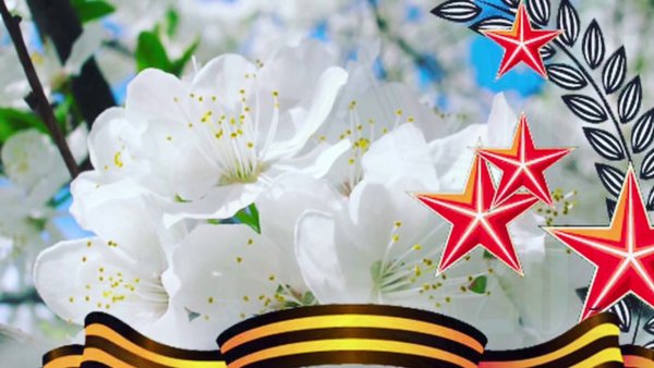 9 Мая небо цветы