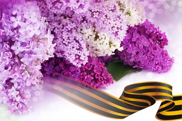 Сирень день Победы