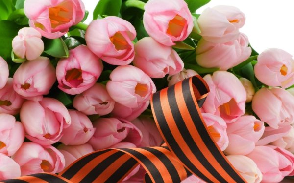 Фон для презентации день Победы