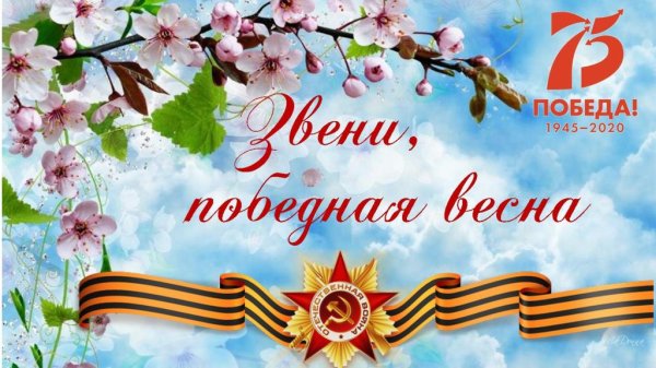9 Мая яблони в цвету