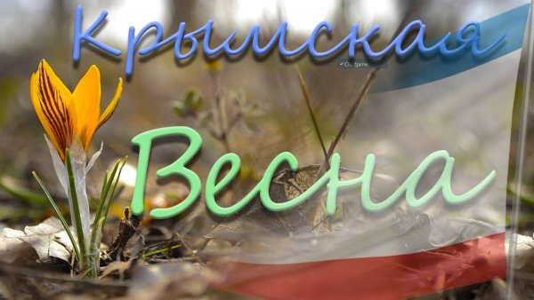 С праздником Крымской весны