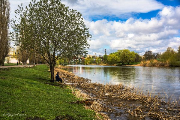 Пейзаж Цны Тамбов