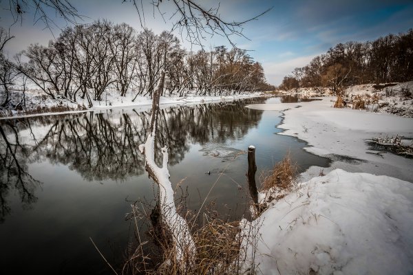 Река Цна зимой