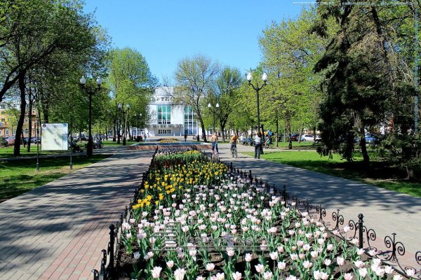 Сквер Державинский Тамбов