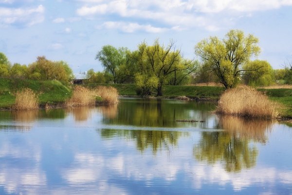 Река Цна Весна